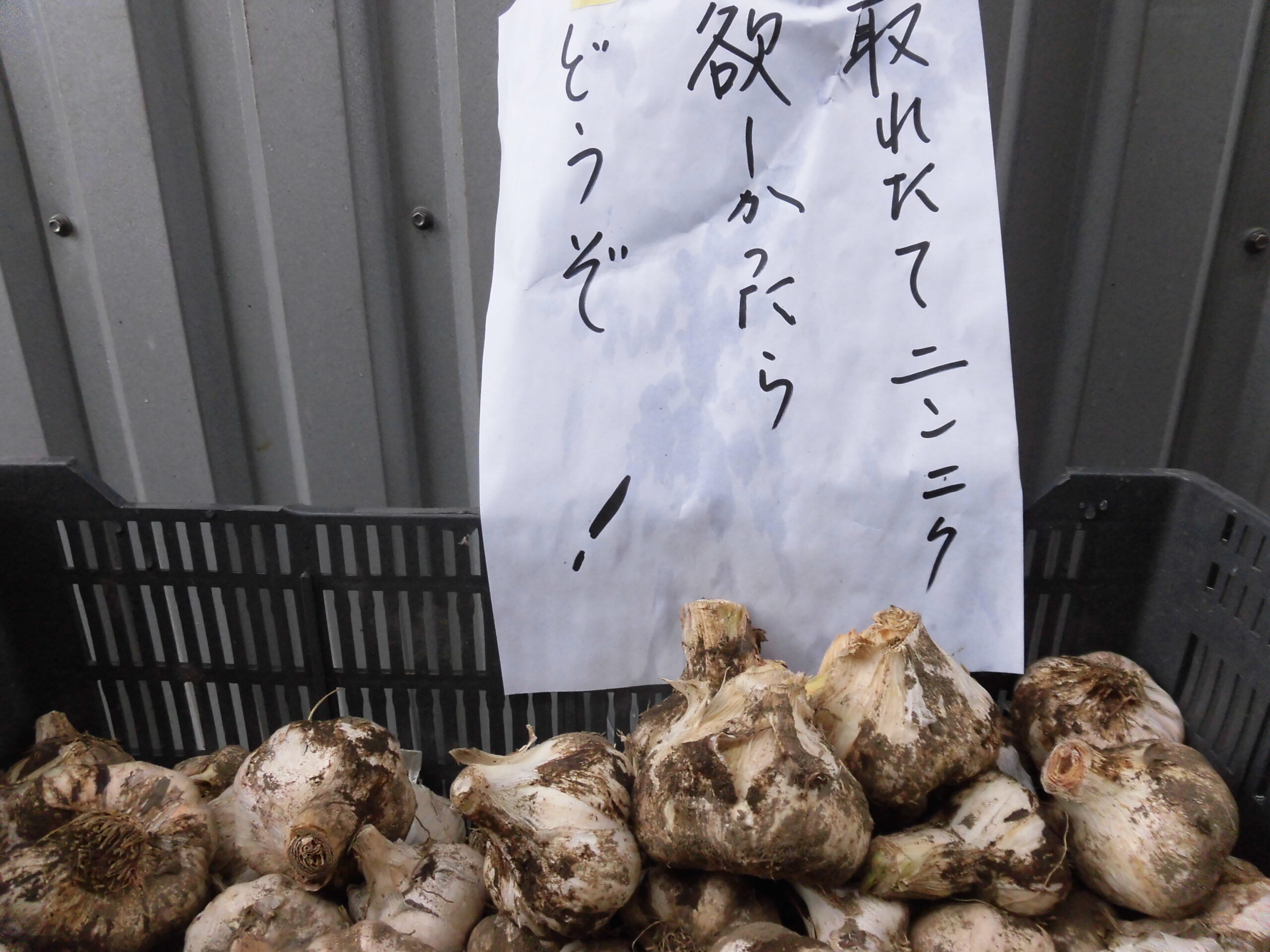 家庭菜園の野菜をどうぞ♪
