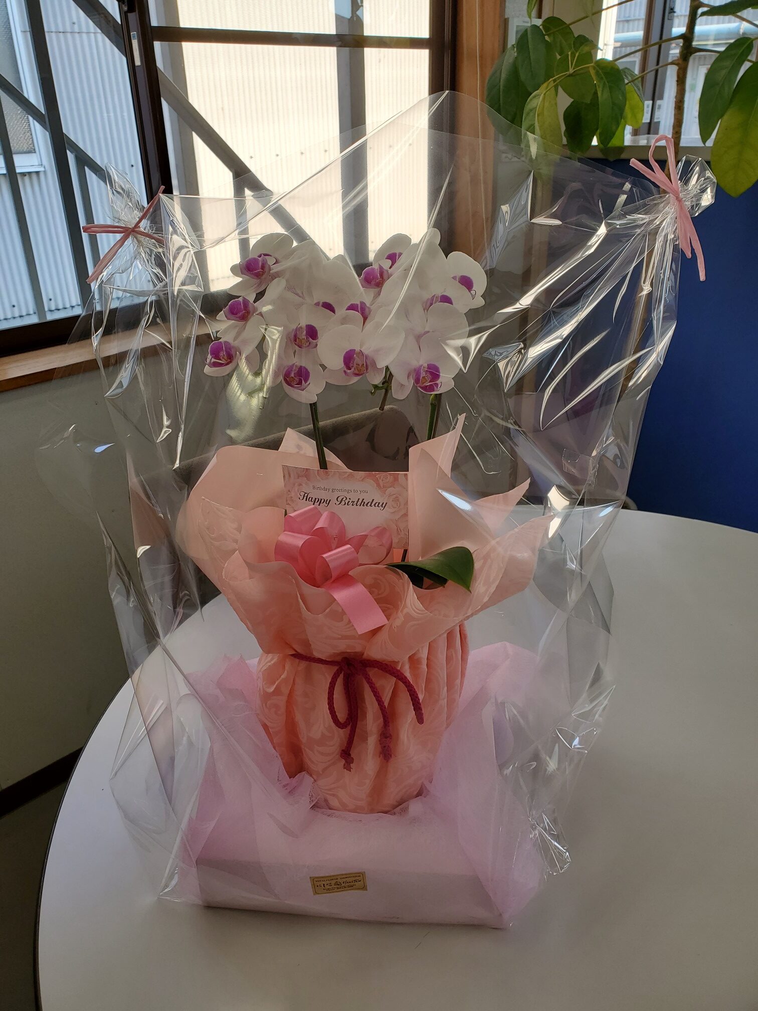 HAPPY BIRTHDAY 社長!!