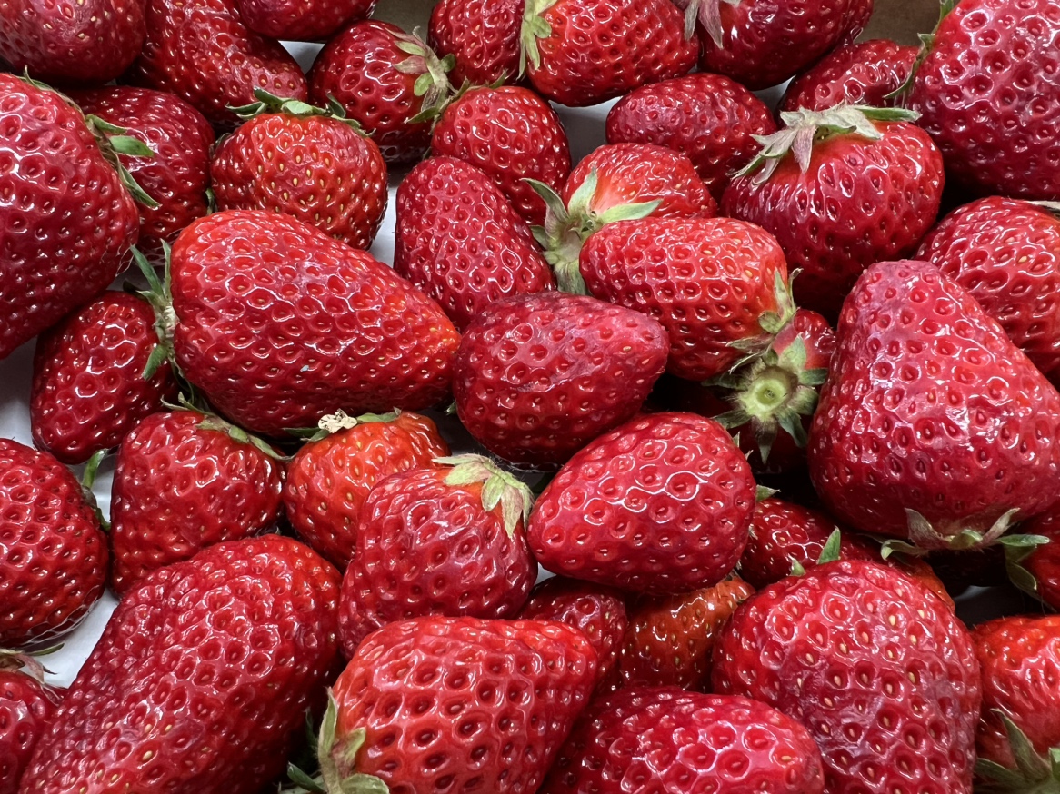 🍓いちご🍓