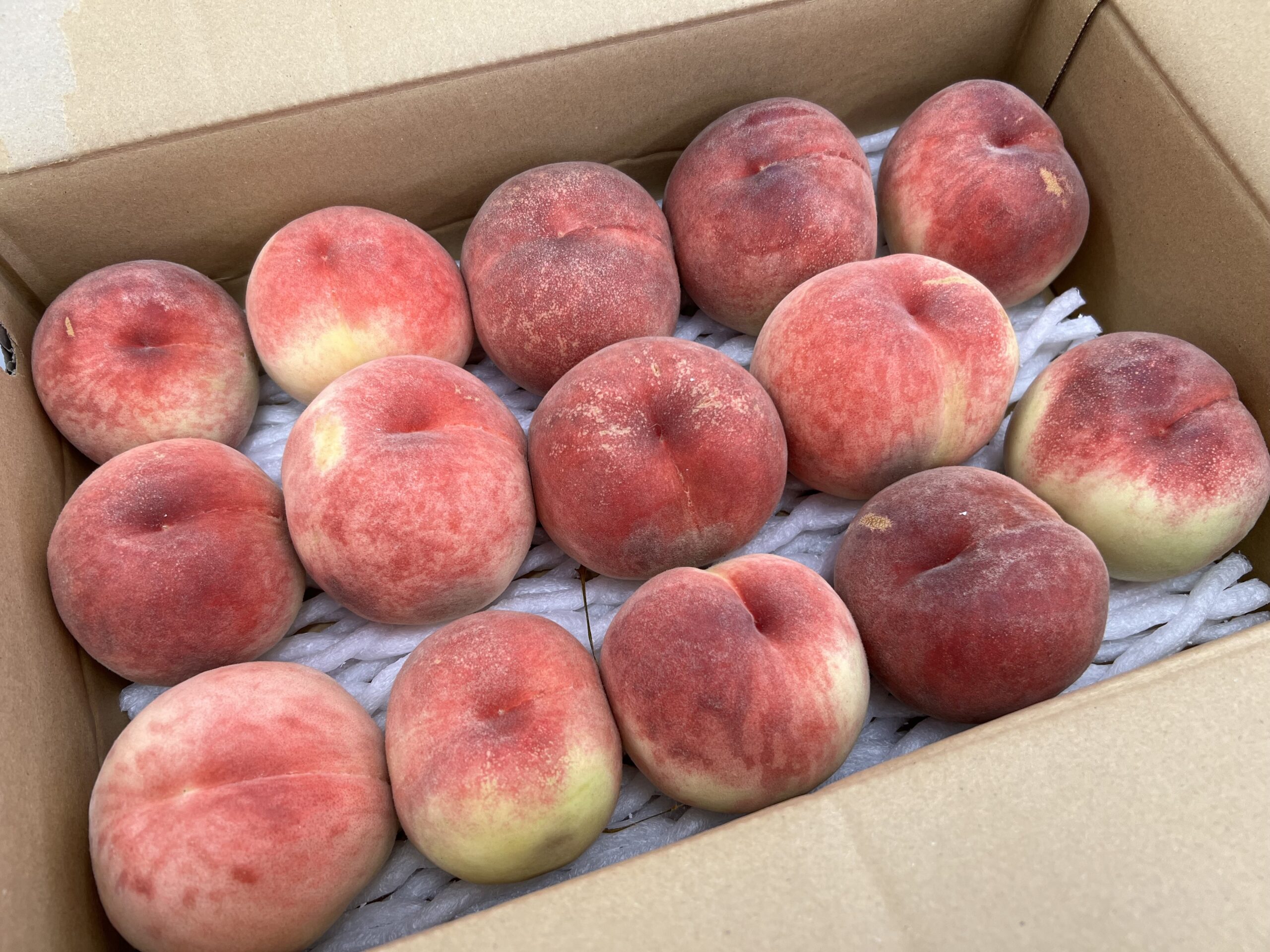 旬をいただく🍑
